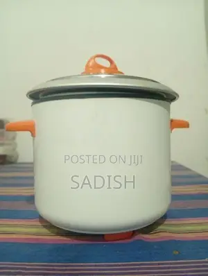 Echo Automatic Rice Cooker