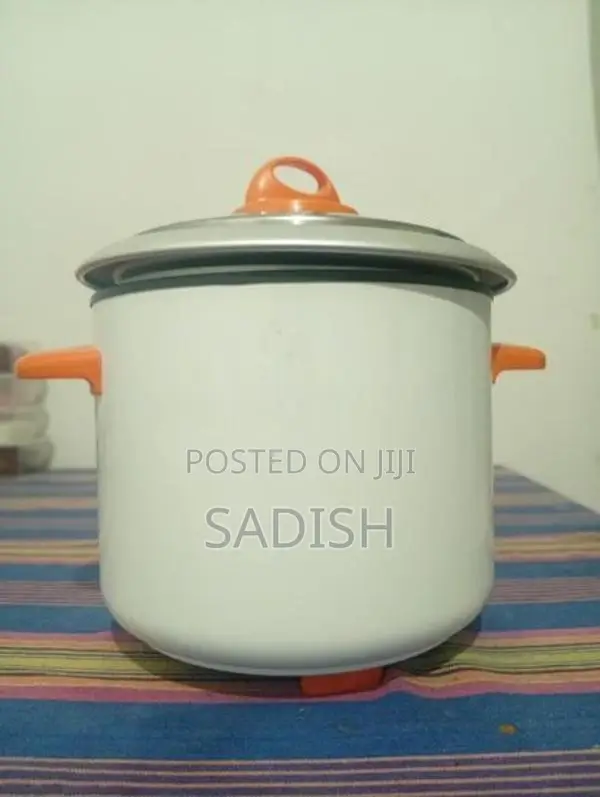 Echo Automatic Rice Cooker