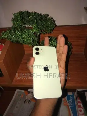 Apple iPhone 12 (Used)
