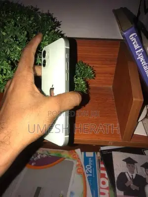 Apple iPhone 12 (Used)