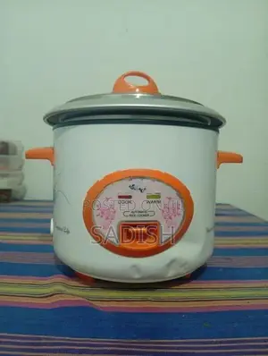 Echo Automatic Rice Cooker