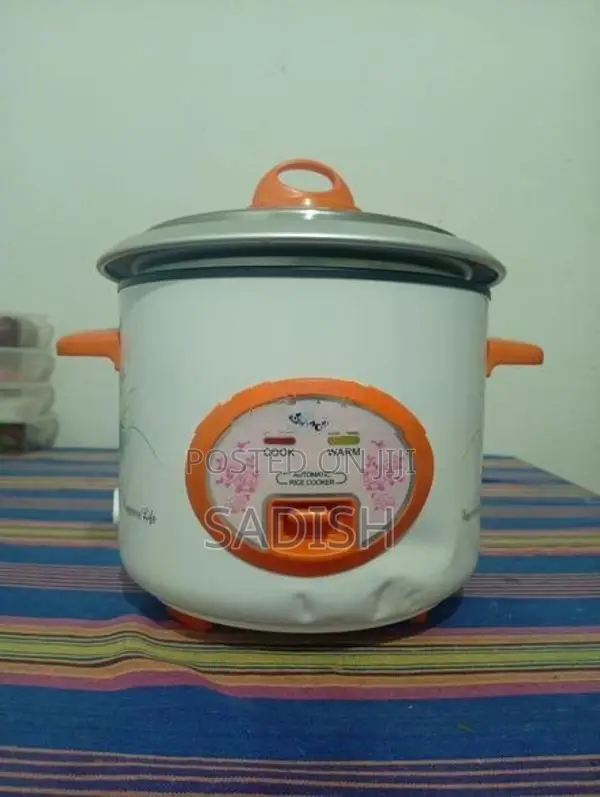 Echo Automatic Rice Cooker
