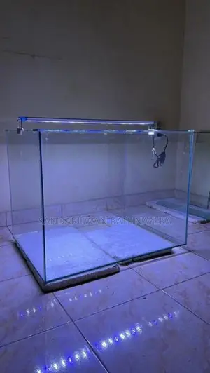Fish Tank