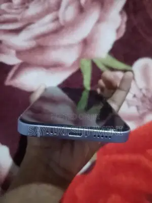 Apple iPhone 12 (Used)