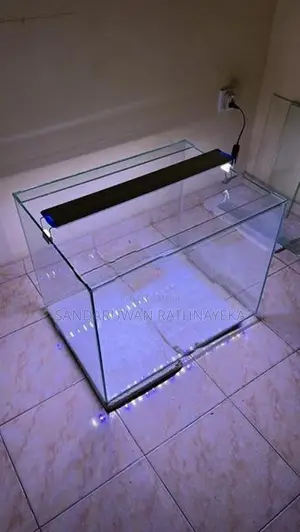 Fish Tank