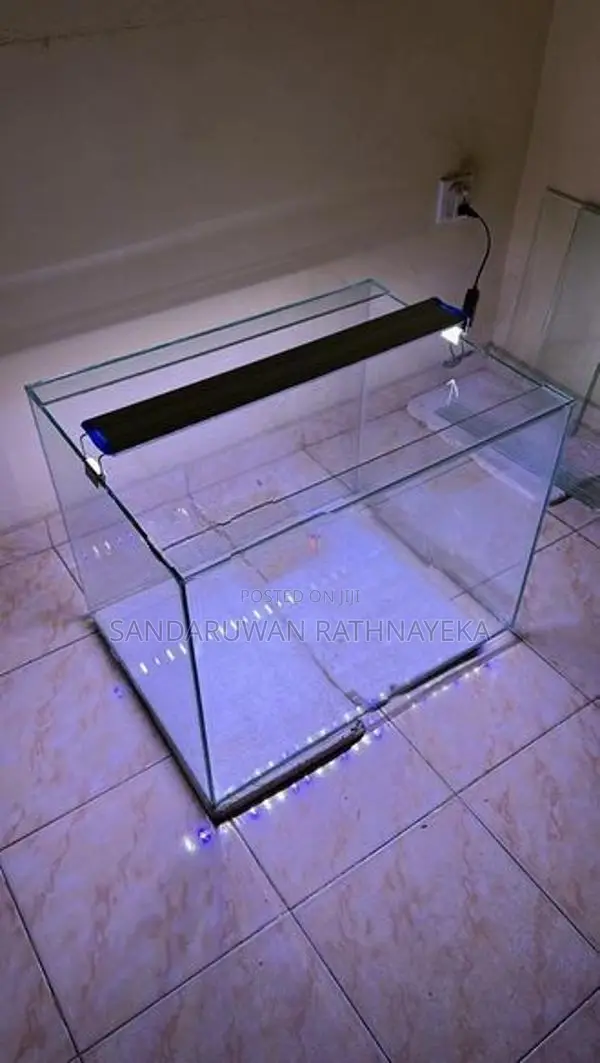 Fish Tank