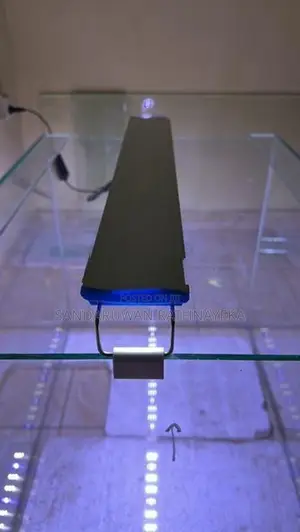 Fish Tank