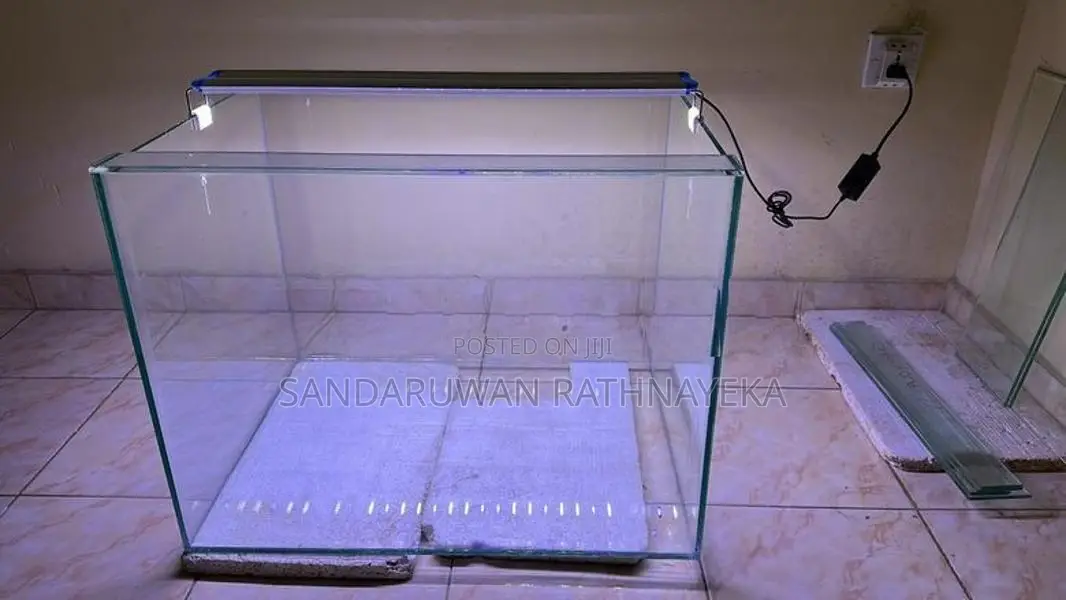 Fish Tank