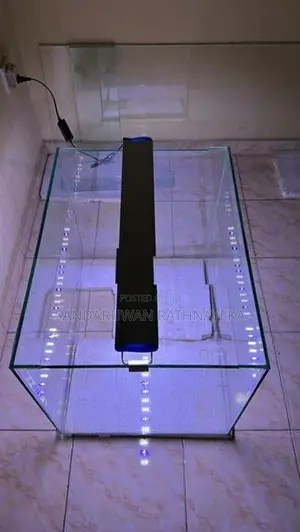 Fish Tank