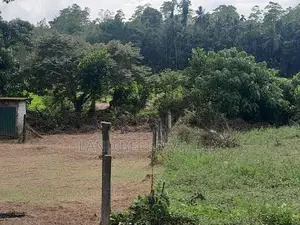 Land for Sale in Homagama