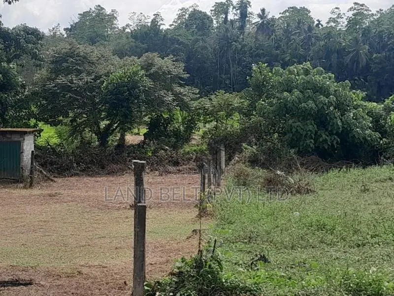 Land for Sale in Homagama