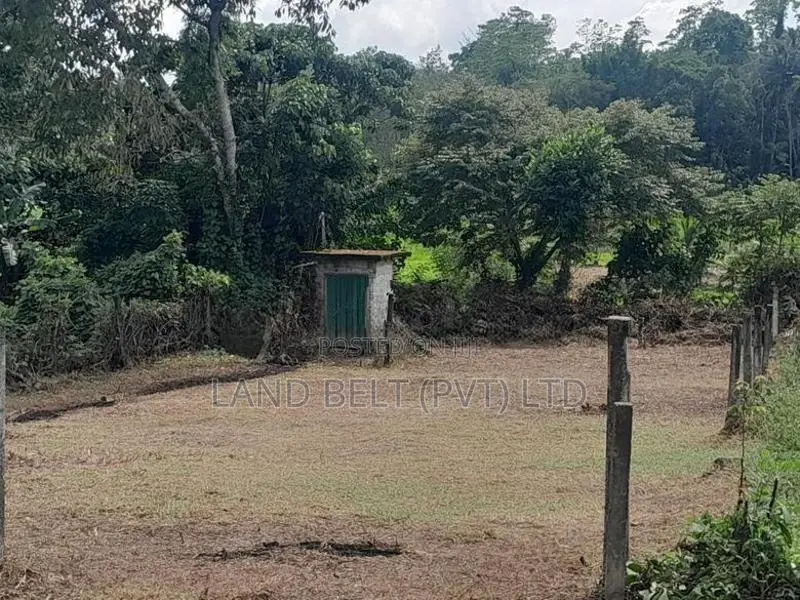 Land for Sale in Homagama
