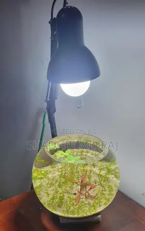 Fish Tank