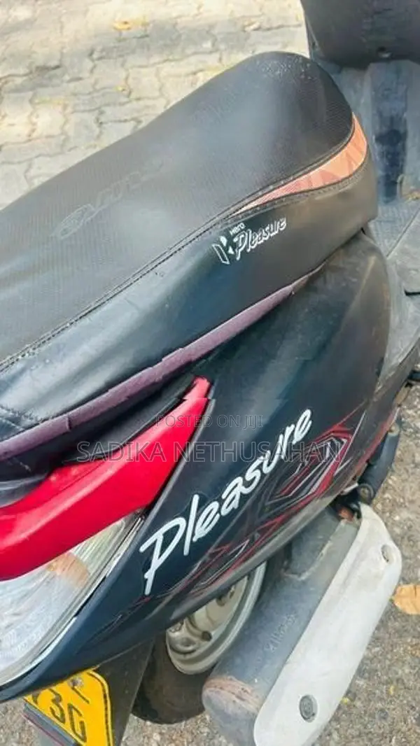 Hero Pleasure 2011