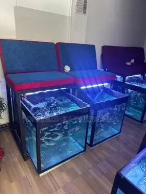 Fish Tanks with fishes