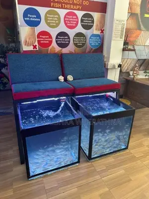 Fish Tanks with fishes