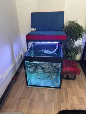 Fish Tanks with fishes
