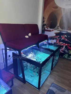 Fish Tanks with fishes