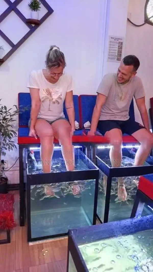 Fish Tanks with fishes