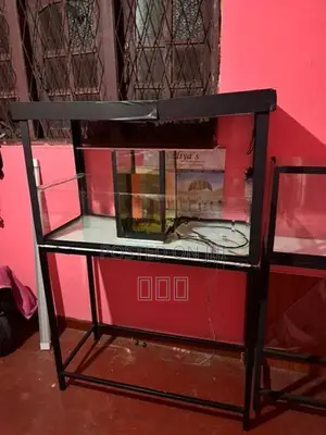 3 Fish Tank
