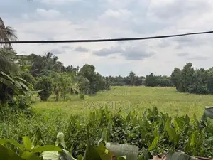 කැස්බෑව නගරයට ආසන්නයෙන් පර්චස් 9 ඉඩමක් විකිණීමට
