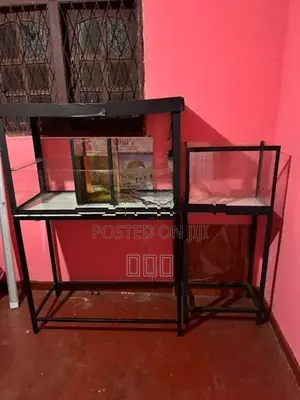 3 Fish Tank
