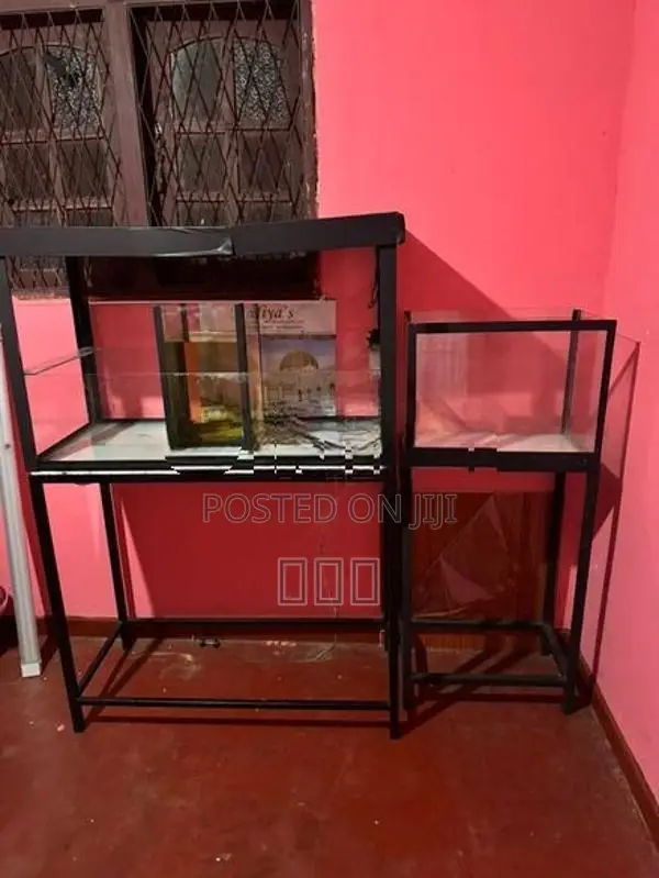 3 Fish Tank