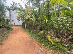 කැස්බෑව නගරයට ආසන්නයෙන් පර්චස් 9 ඉඩමක් විකිණීමට