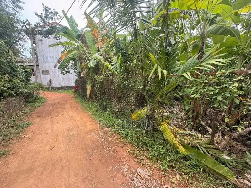 කැස්බෑව නගරයට ආසන්නයෙන් පර්චස් 9 ඉඩමක් විකිණීමට
