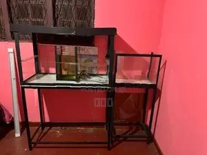 3 Fish Tank