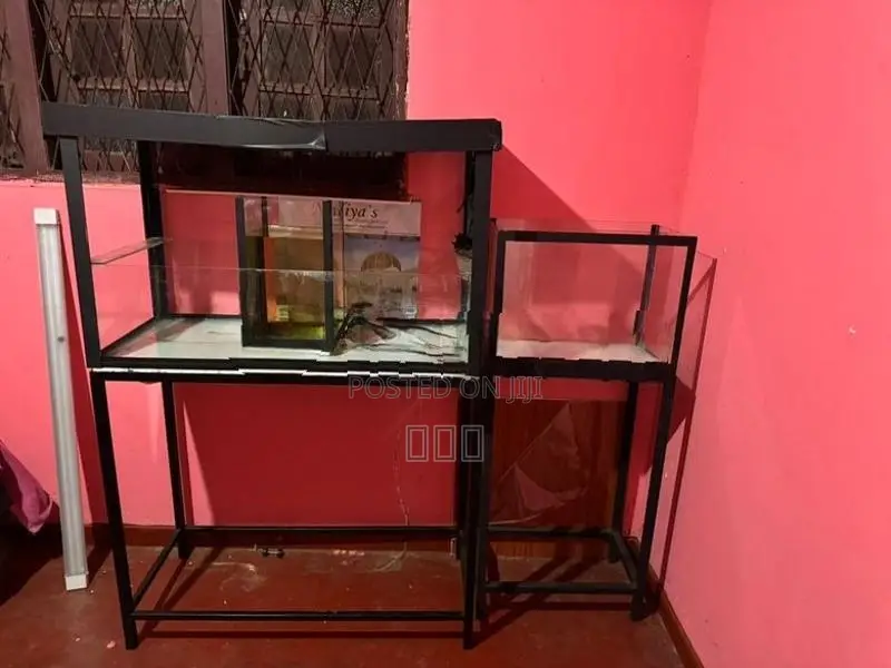 3 Fish Tank