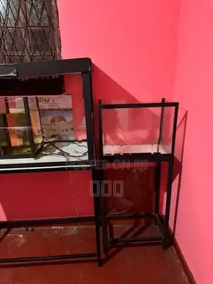 3 Fish Tank