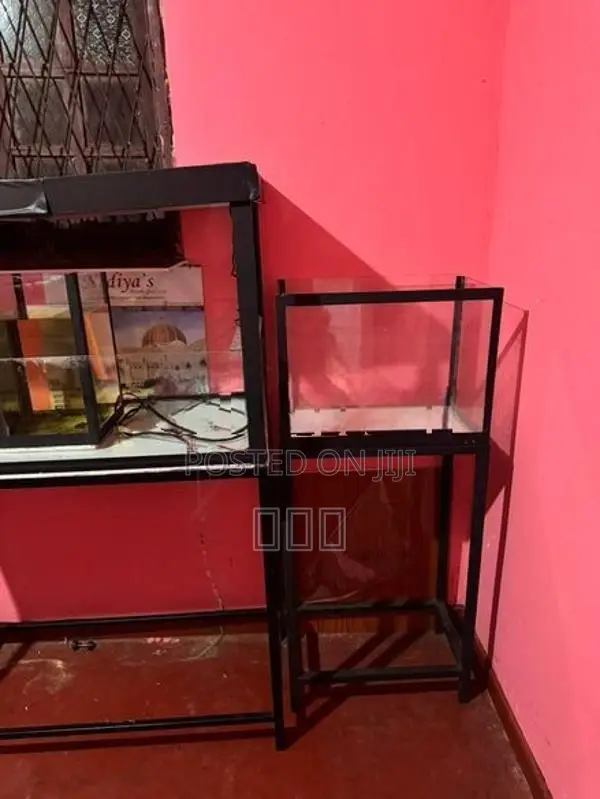 3 Fish Tank