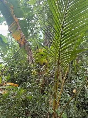 කැස්බෑව නගරයට ආසන්නයෙන් පර්චස් 9 ඉඩමක් විකිණීමට