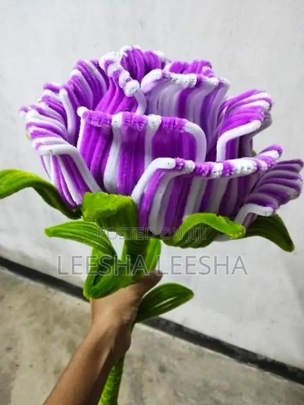 Big Single Rose
