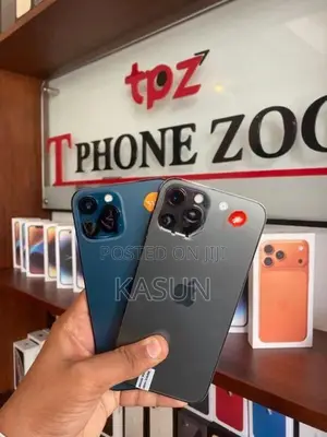 Apple iPhone 12 Pro Max (Used)