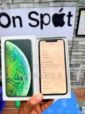 Apple iPhone XS Max 256GB (Used)