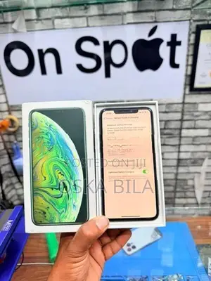 Apple iPhone XS Max 256GB (Used)