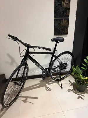 Racing Bicycle