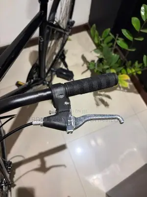 Racing Bicycle