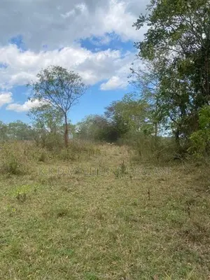 Main Road Facing Land For Sale Hakmana