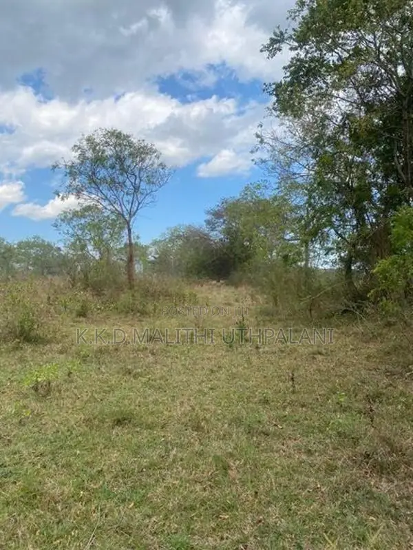Main Road Facing Land For Sale Hakmana