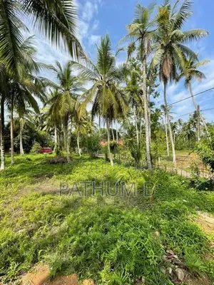 Land for Sale in Hettipola Kuliyapitiya