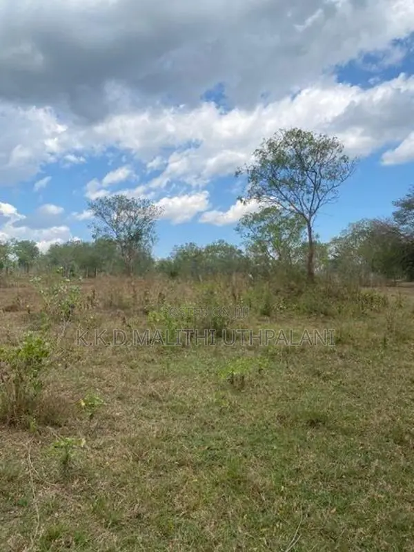 Main Road Facing Land For Sale Hakmana