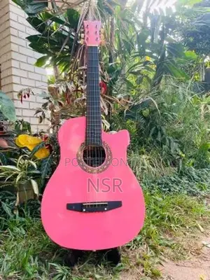 Acoustic Box Guitar