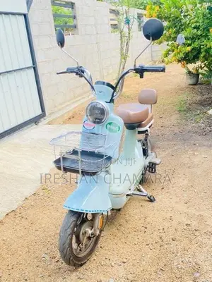 Demak Electric Bike 48CC 2025
