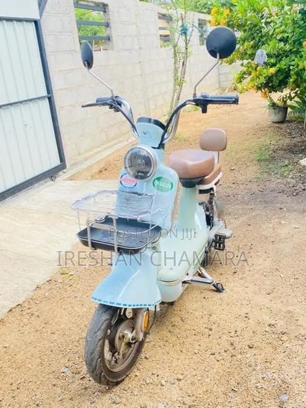 Demak Electric Bike 48CC 2025