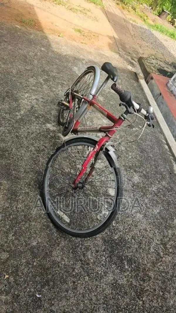 Bicycle