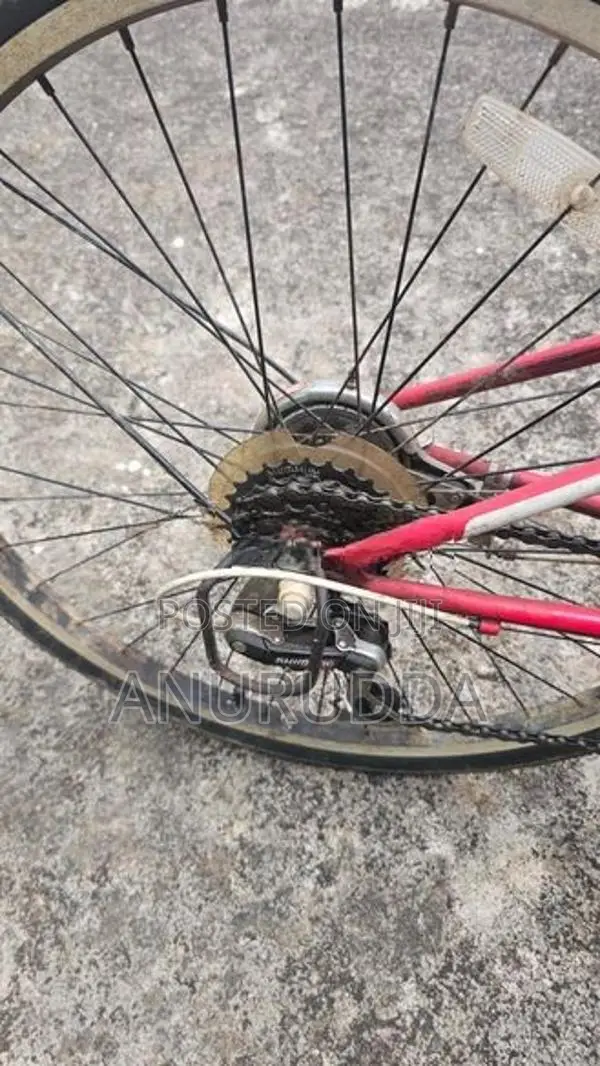 Bicycle