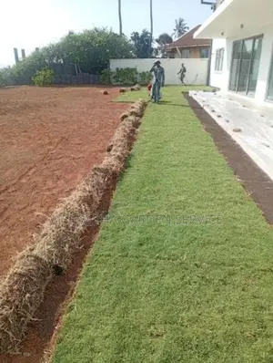 Australian Grass
